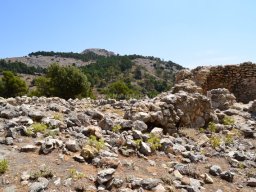 Valle de Leiva-Perdiz 2010